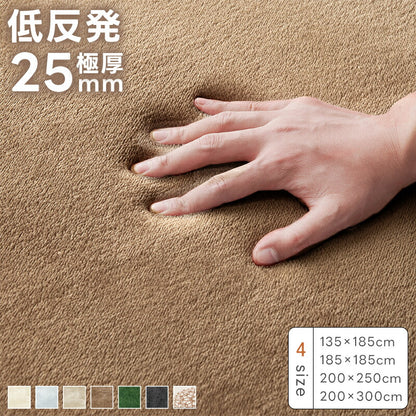 ラグ 低反発 極厚25mm フランネル ラグマット カーペット 絨毯 135×185 185×185 200×250 200×300 抗菌 防臭 防ダニ 軽量 防音 春 夏 秋 冬 長方形 滑り止め 床暖房 ホットカーペット対応 フランネルラグ じゅうたん