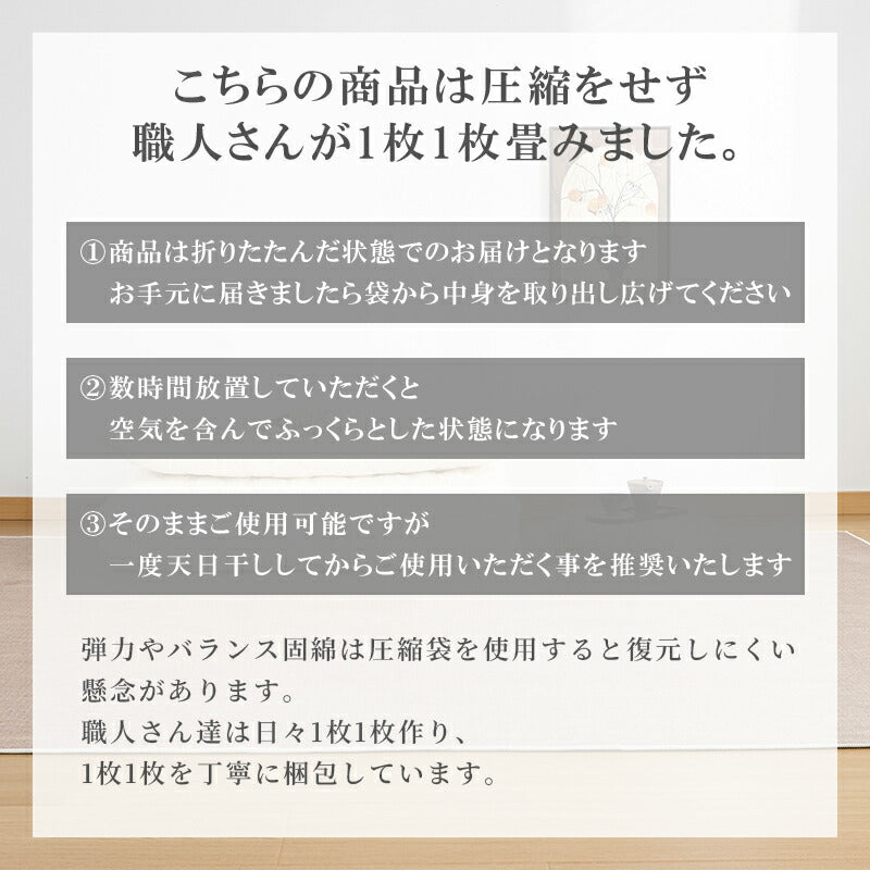 日本製 敷布団 シングル ボリューム 極厚10cm 固綿 軽量 マイティトップ 抗菌 防臭 防ダニ 洗える 敷き布団 敷きふとん ふとん 体圧分散 腰痛 肩こり 国産 安心 ごろ寝マット マットレス コンパクト 一人暮らし 来客用 新生活